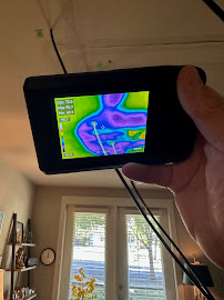 Flamingo Floodworks photo