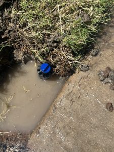 affordable sprinkler repair Dallas photo