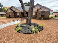 stump grinding service Dallas photo
