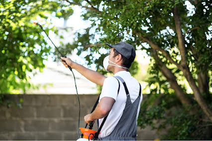 Eco Pest Pros photo