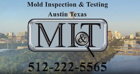 mold inspection for real estate Austin photo