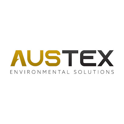 affordable mold inspection Travis County photo