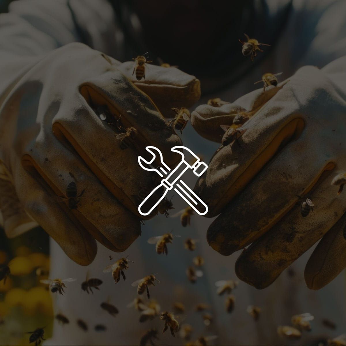 Termite Watkins Pest photo
