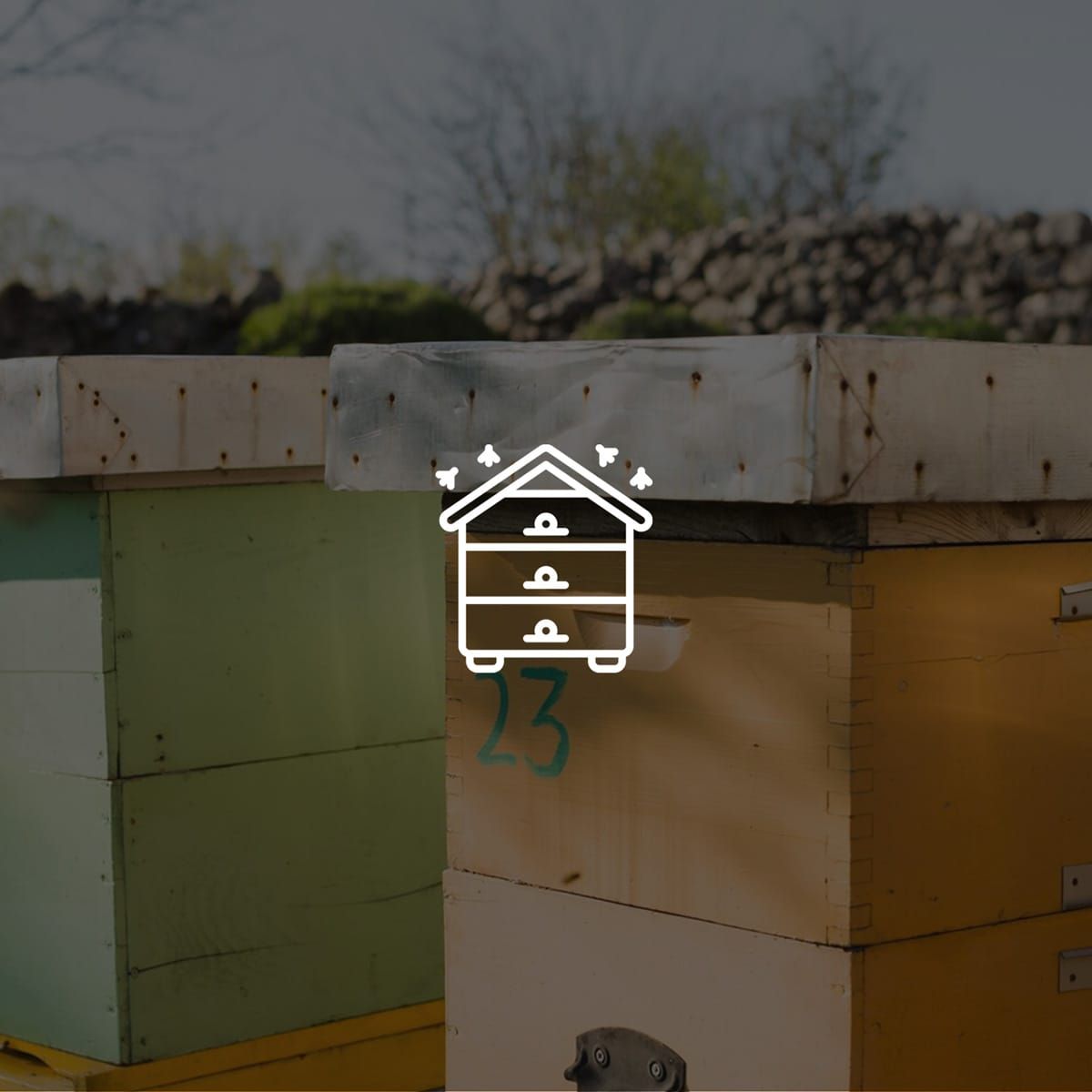Southeast Bee Removal photo
