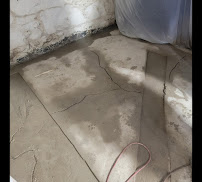 mold removal Suffolk County photo