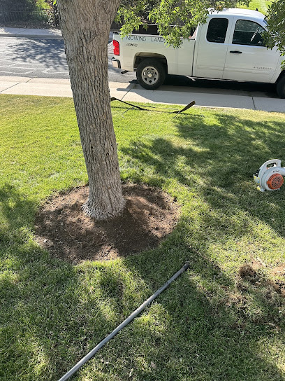 weed control Colorado photo