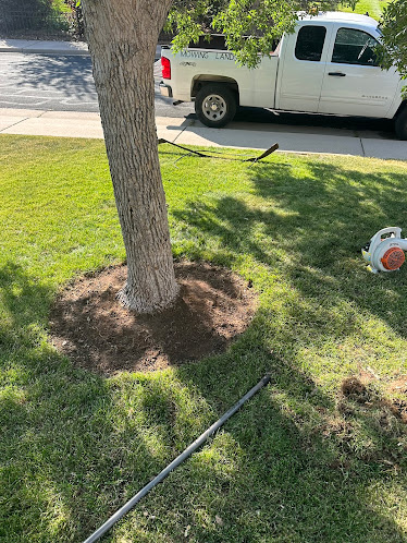 weed control Colorado photo