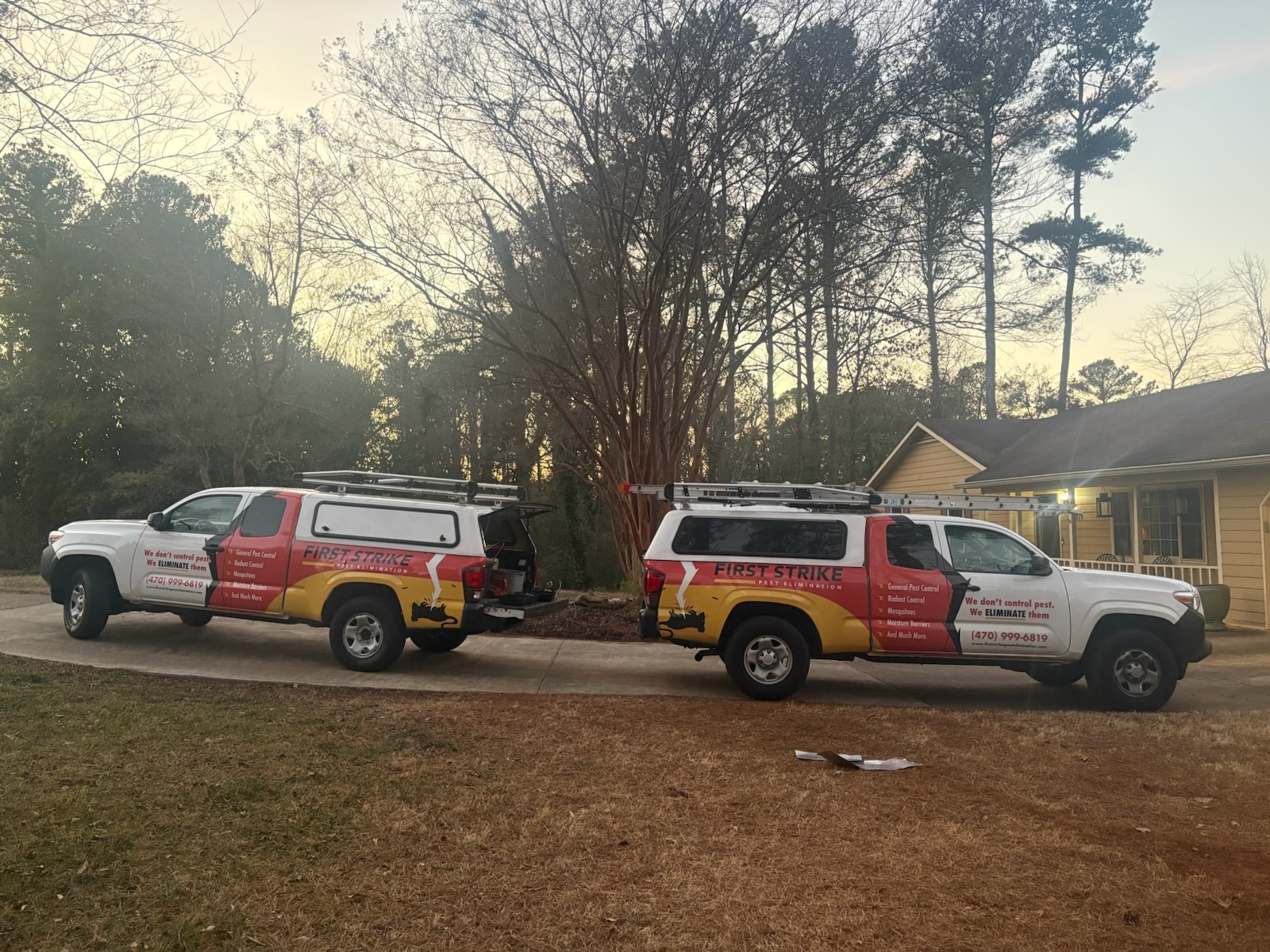 First Strike Pest Elimination photo