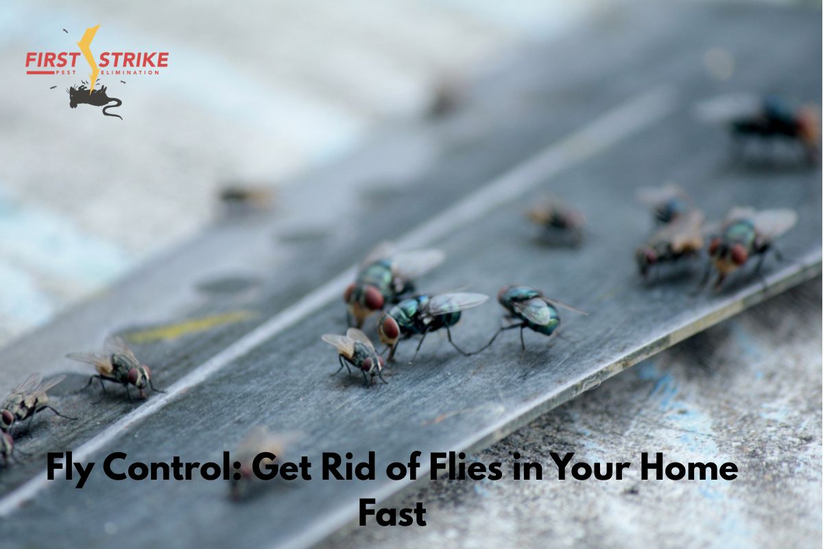 First Strike Pest Elimination photo