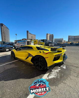 mobile car interior shampoo Mobile Auto Spa photo