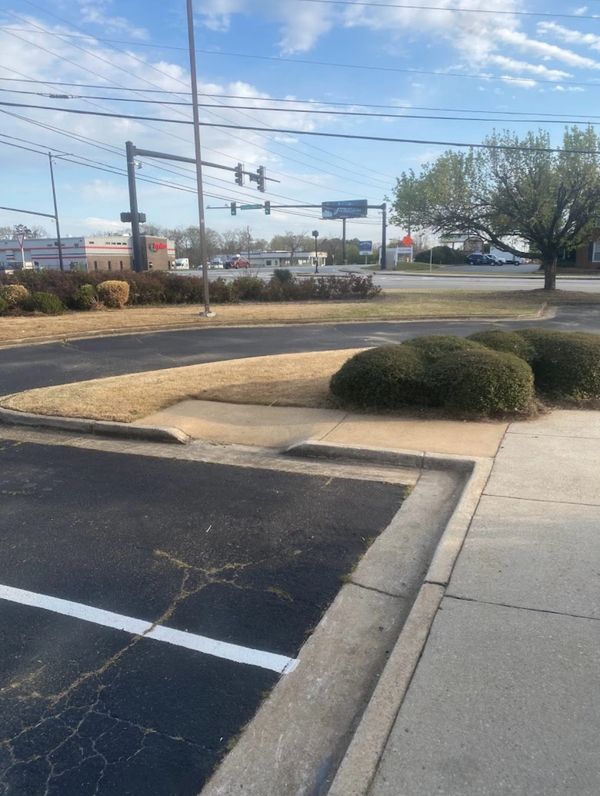 T&S Affordable Lawn Care photo
