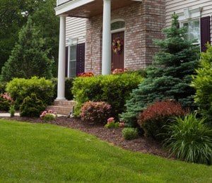 best landscapers in QualityWorks Trademark LLC photo