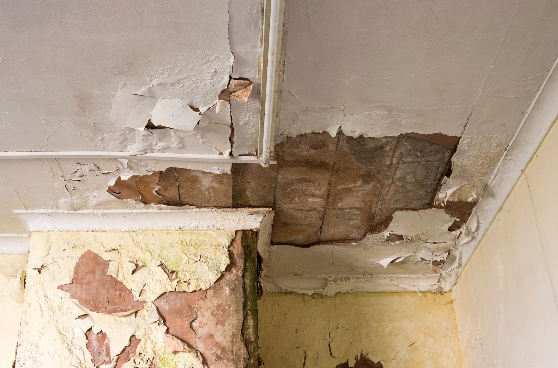Water Damage Restoration Plano photo