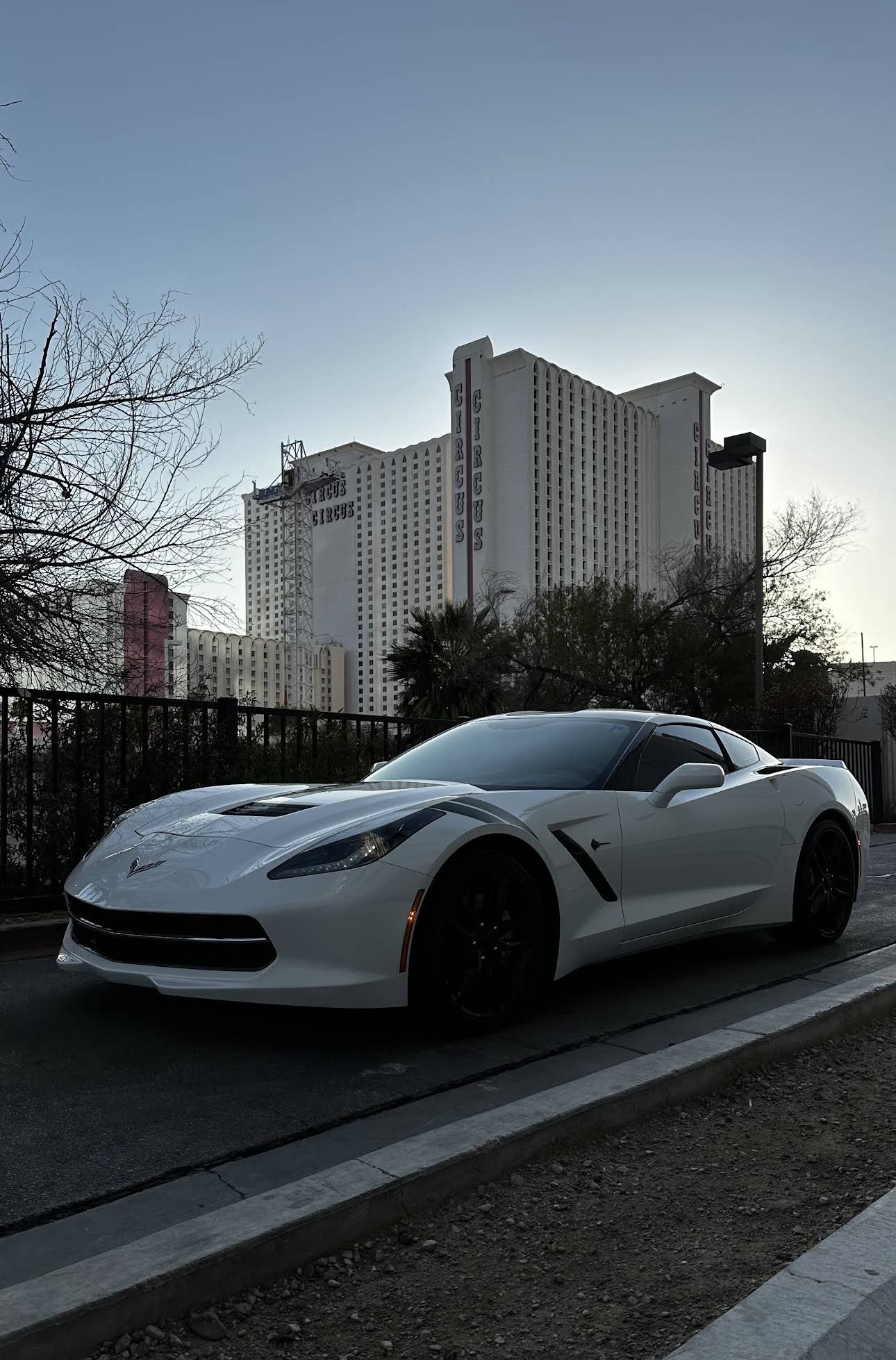 mobile detailing service North Las Vegas photo
