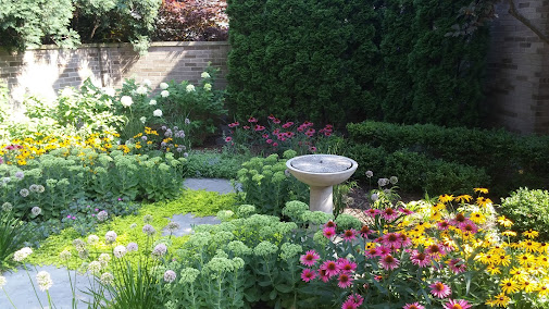 lawn aeration and soil health Evanston photo