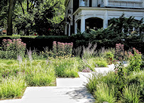 lawn aeration and soil health Evanston photo