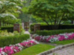 JD Flores Landscaping photo