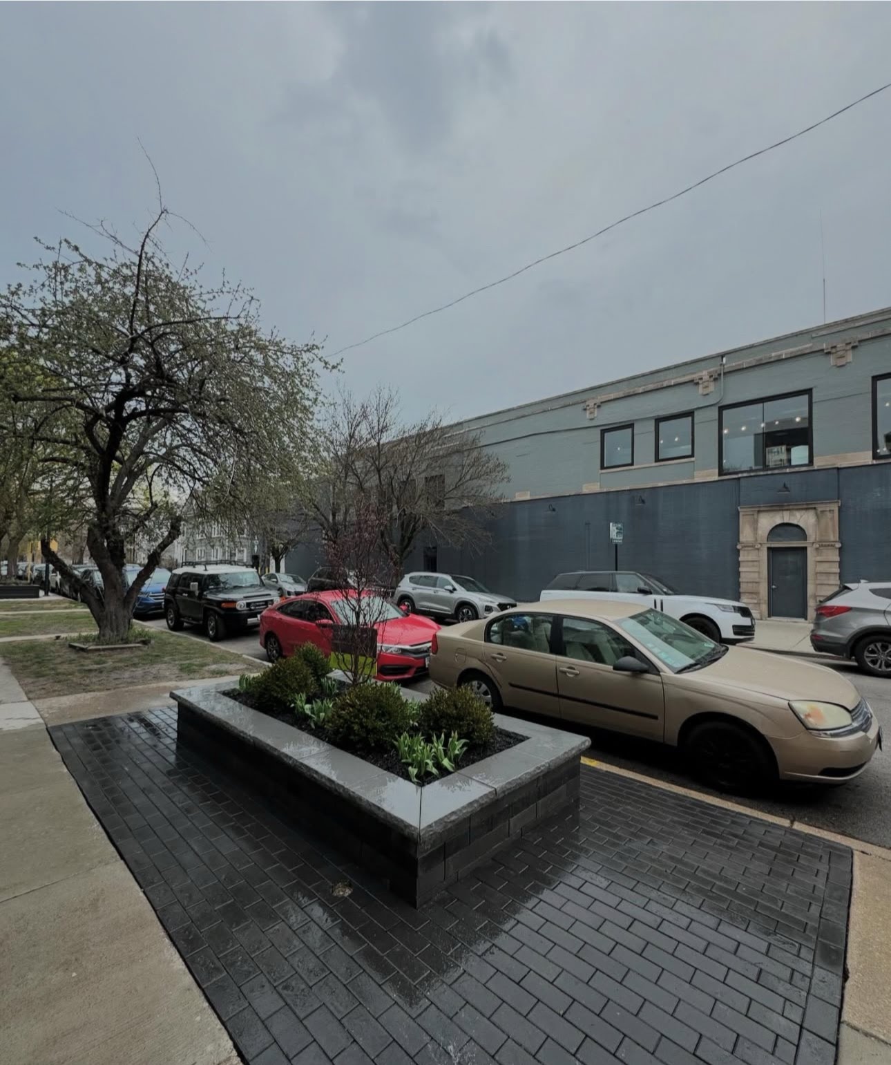 landscaping company in Chicago photo