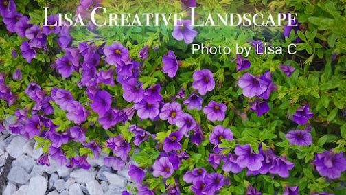 reliable landscape maintenance Chicago photo