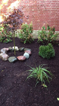 sod installation Chicago