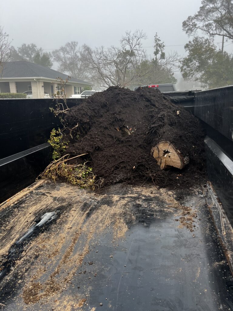 affordable junk haulers near me photo