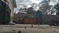 yard waste removal Tampa Bay photo
