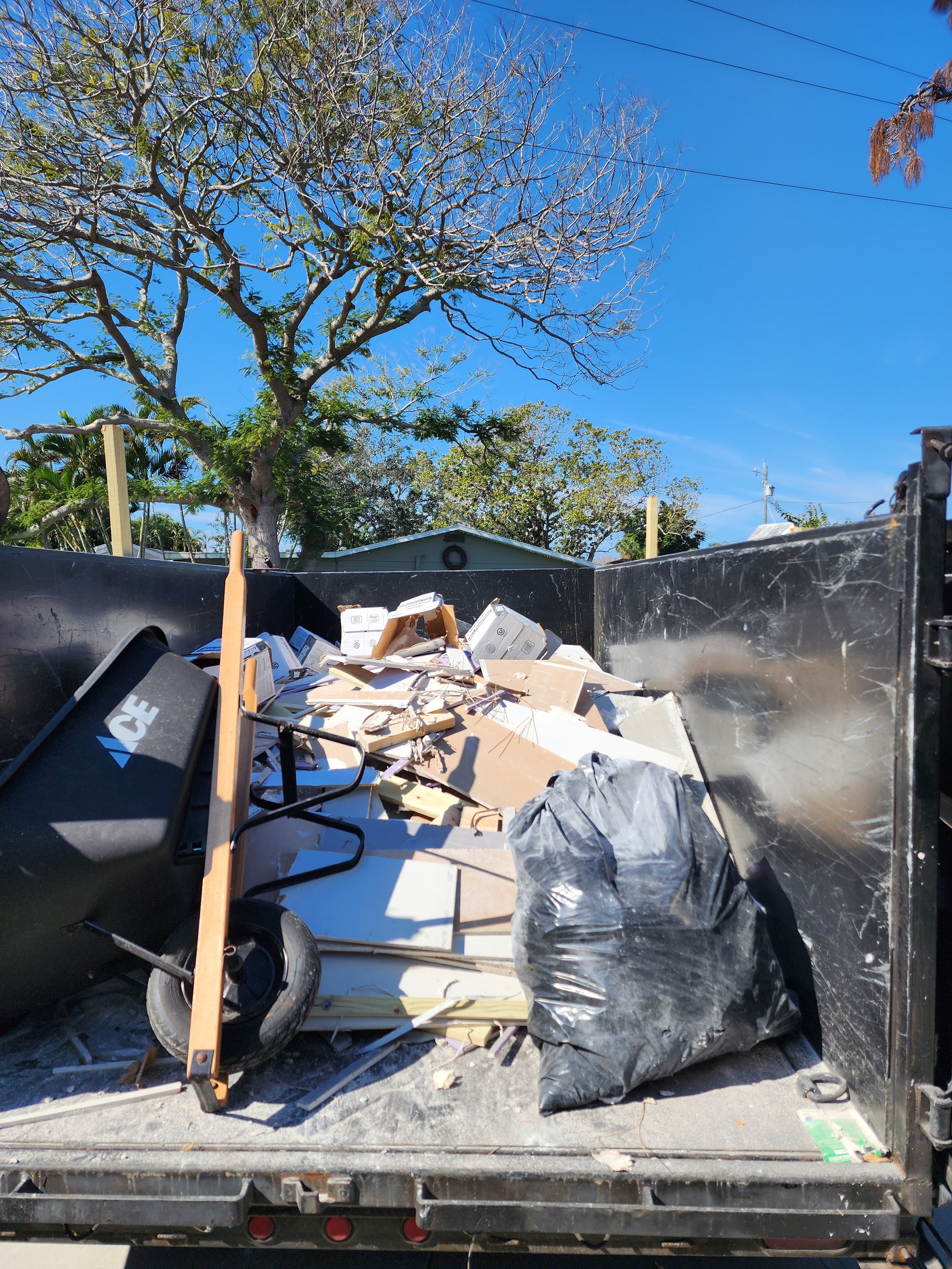 yard waste removal Tampa Bay photo