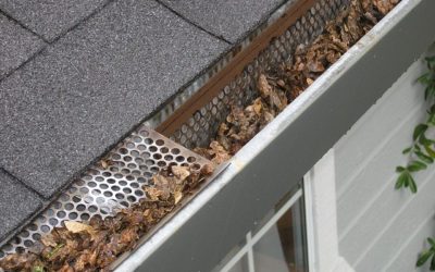 gutter cleaning services in Phoenix photo