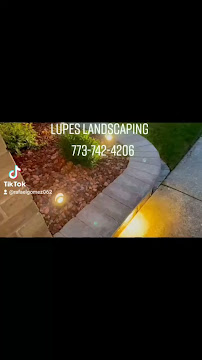 yard cleanup services near me