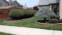 Lupe Gomez Landscaping photo