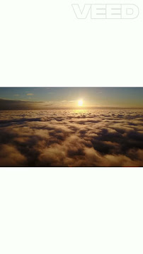 roofing company in California