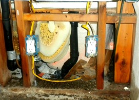 spider exterminator Nevada photo