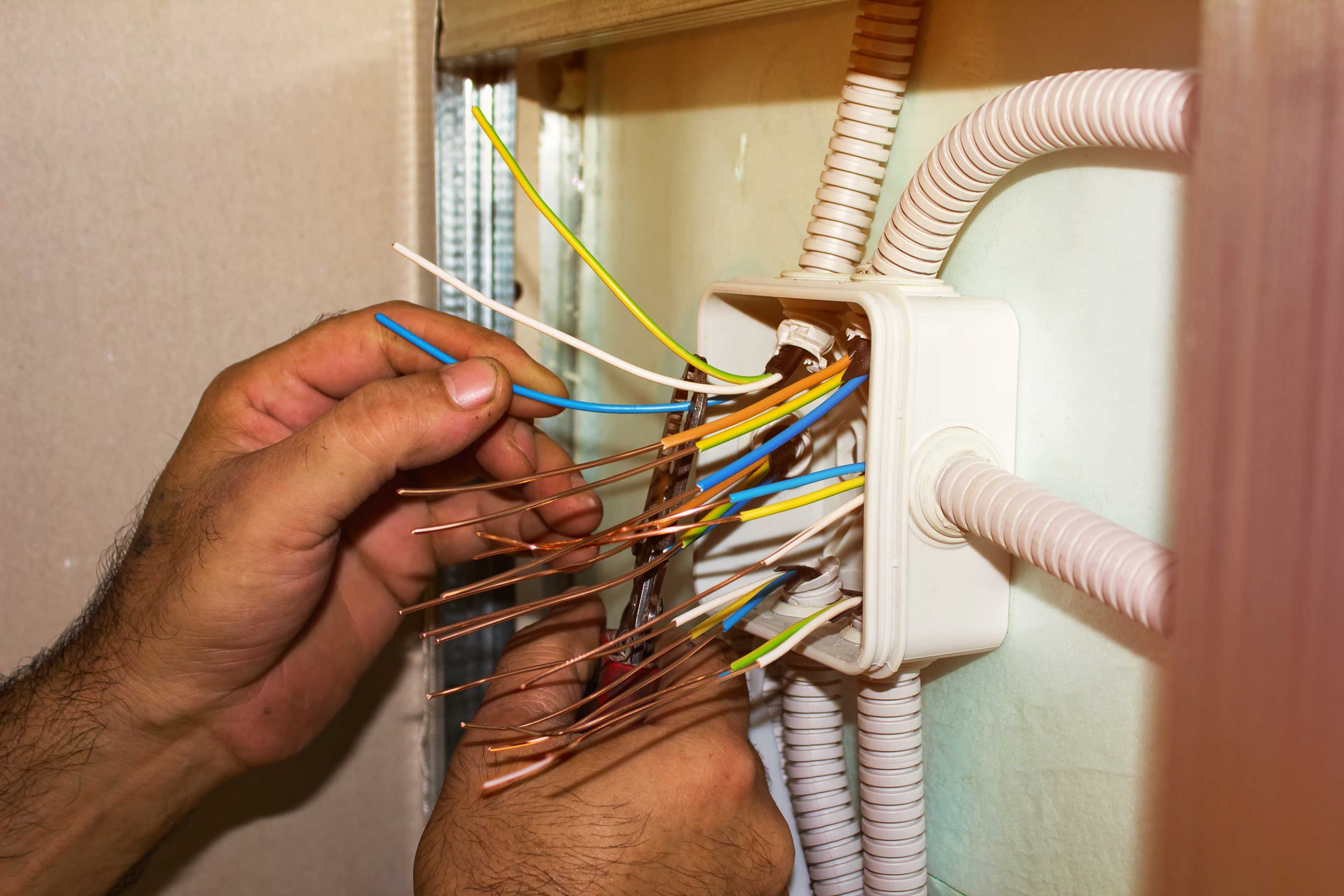 electrical panel repair Tampa photo