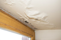best water damage company Midtown Manhattan photo
