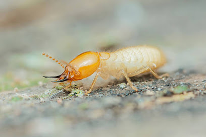 pest prevention plans Compton