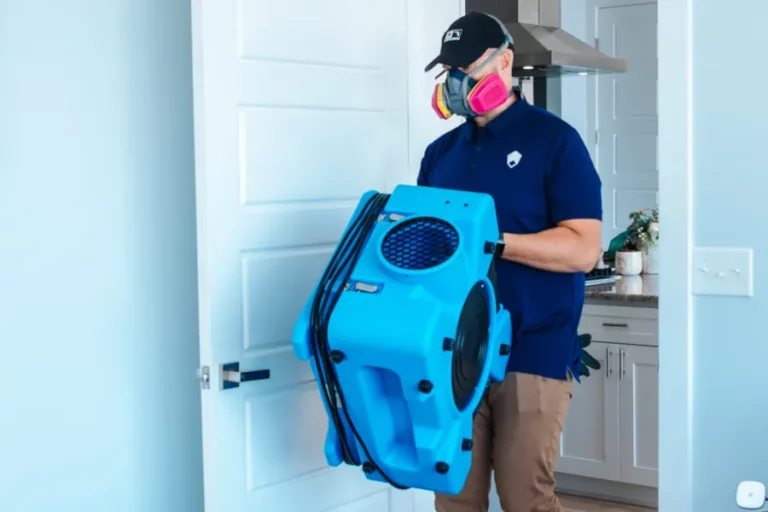 commercial mold removal Altamonte Springs photo