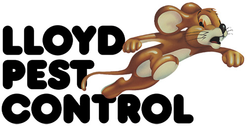 Lloyd Pest & Termite Control photo