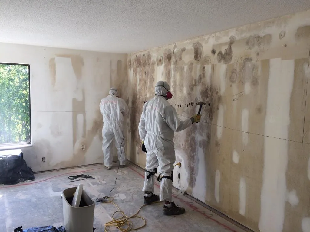 Unity Water Damage Restoration photo