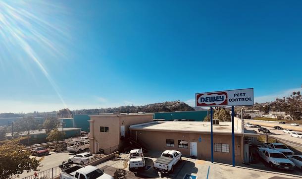 pest control in Avalon