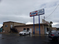 pest control in Avalon photo