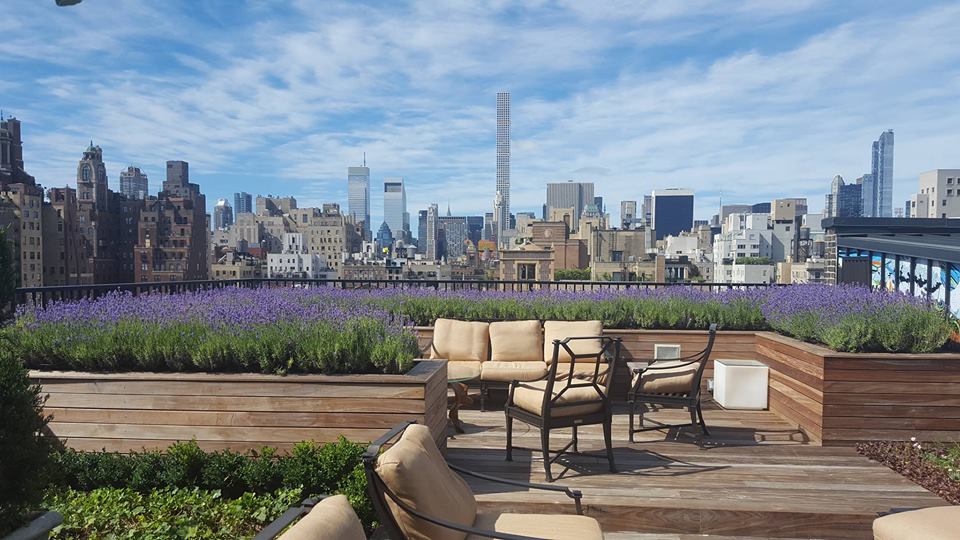 sprinkler system repair Manhattan