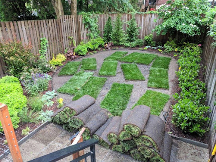 sprinkler system repair Manhattan photo