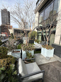 sustainable gardening New Yorck City photo