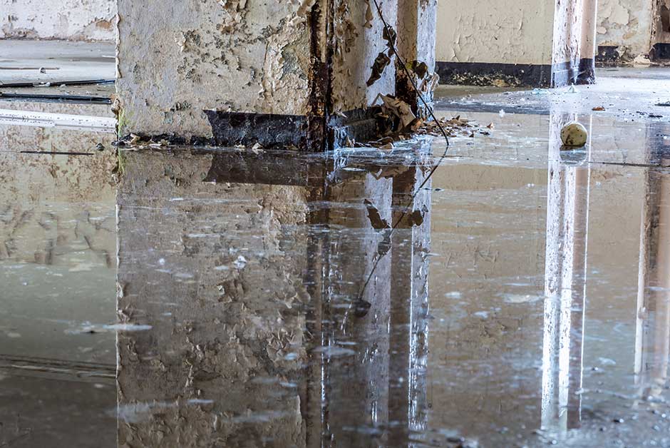 mold testing and detection Atlanta