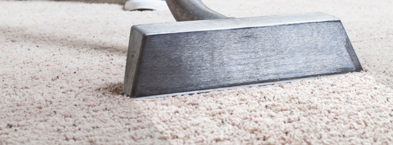 Finest San Diego Carpet Cleaning photo