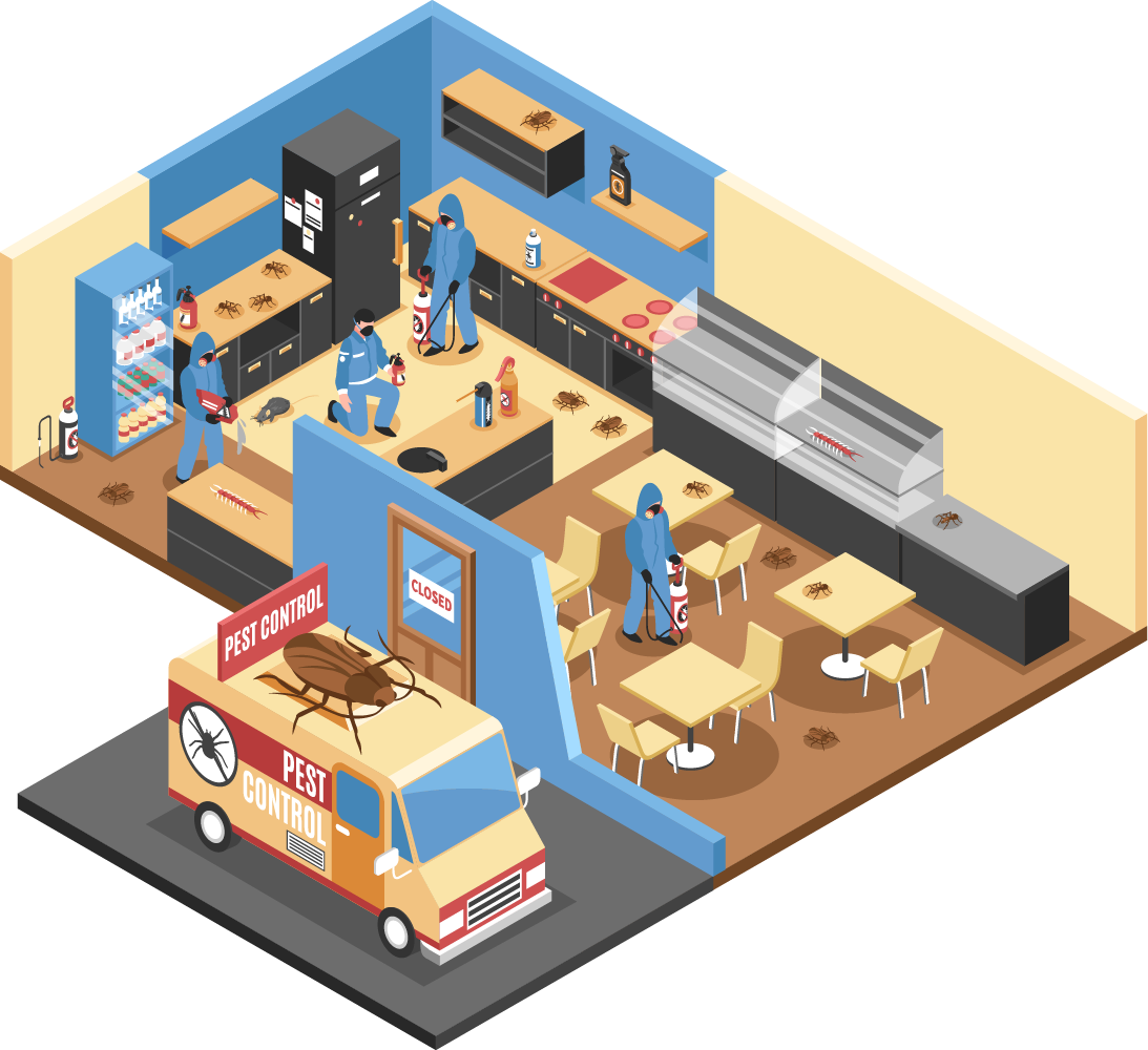 escrow termite clearance San Diego photo