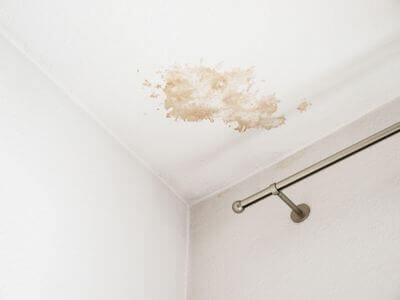 Water Damage Pros LLC photo
