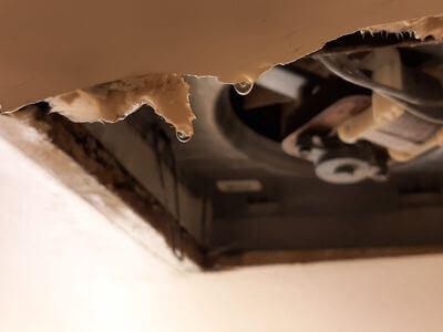 Water Damage Pros LLC photo