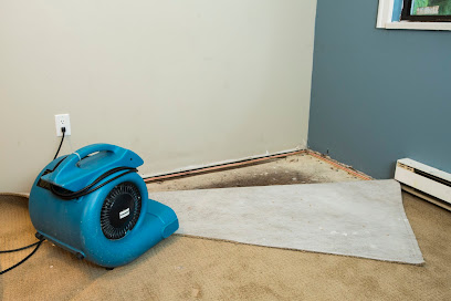 Ryler Restoration and Mold photo