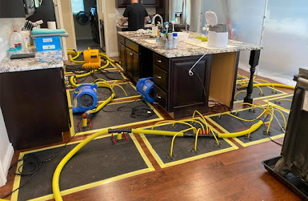Ryler Restoration and Mold photo